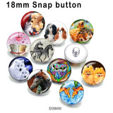 10pcs/lot  Cat  Dog  glass picture printing products of various sizes  Fridge magnet cabochon