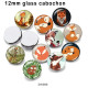 10pcs/lot  Fox   glass picture printing products of various sizes  Fridge magnet cabochon