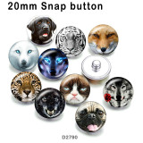10pcs/lot  Cat  Wolf   Dog  glass picture printing products of various sizes  Fridge magnet cabochon