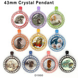 10pcs/lot  Little hedgehog  glass  picture printing products of various sizes  Fridge magnet cabochon