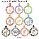 10pcs/lot   Elephant  Deer  Owl   glass picture printing products of various sizes  Fridge magnet cabochon