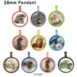 10pcs/lot  Little hedgehog  glass  picture printing products of various sizes  Fridge magnet cabochon