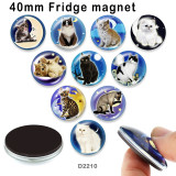 10pcs/lot  Cat   glass  picture printing products of various sizes  Fridge magnet cabochon