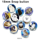 10pcs/lot  Cat   glass  picture printing products of various sizes  Fridge magnet cabochon
