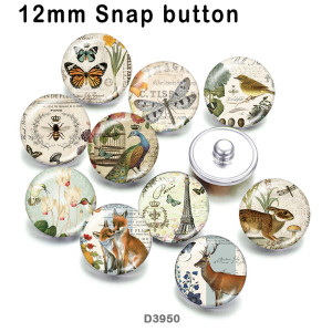 10pcs/lot  Butterfly  Dragonfly   glass  picture printing products of various sizes  Fridge magnet cabochon