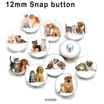 10pcs/lot Cat  Dog  glass  picture printing products of various sizes  Fridge magnet cabochon