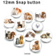 10pcs/lot Cat  Dog  glass  picture printing products of various sizes  Fridge magnet cabochon