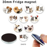 10pcs/lot Cat  Dog  glass  picture printing products of various sizes  Fridge magnet cabochon