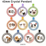 10pcs/lot Cat  Dog  glass  picture printing products of various sizes  Fridge magnet cabochon