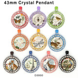 10pcs/lot  Butterfly  Dragonfly   glass  picture printing products of various sizes  Fridge magnet cabochon