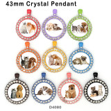 10pcs/lot Cat  Dog  glass  picture printing products of various sizes  Fridge magnet cabochon