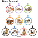 10pcs/lot Cat  Dog  glass  picture printing products of various sizes  Fridge magnet cabochon