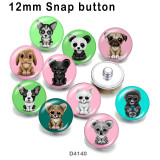 10pcs/lot  Dog  Cat  rabbit  glass  picture printing products of various sizes  Fridge magnet cabochon