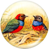 20MM  Dog  Flower  bird    Print   glass  snaps buttons