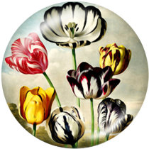 20MM  rabbit  bird  Flower  Print   glass  snaps buttons