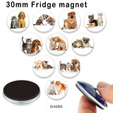 10pcs/lot Cat  Dog  glass  picture printing products of various sizes  Fridge magnet cabochon