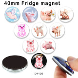 10pcs/lot  pig  glass  picture printing products of various sizes  Fridge magnet cabochon