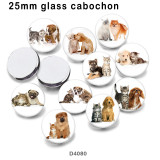 10pcs/lot Cat  Dog  glass  picture printing products of various sizes  Fridge magnet cabochon