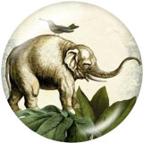 20MM  Elephant  Butterfly  Print   glass  snaps buttons