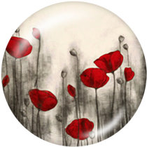 20MM   Flower  Butterfly  peacock   Print   glass  snaps buttons