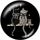 20MM   teacher   Cat  Print   glass  snaps buttons