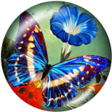 20MM  Butterfly  Faith  love  Print   glass  snaps buttons
