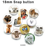 10pcs/lot  Cat  Dog  glass picture printing products of various sizes  Fridge magnet cabochon