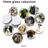 10pcs/lot  Dog  glass picture printing products of various sizes  Fridge magnet cabochon