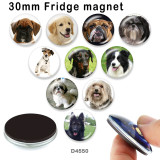 10pcs/lot  Dog  glass picture printing products of various sizes  Fridge magnet cabochon