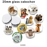 10pcs/lot  Cat  Dog  glass picture printing products of various sizes  Fridge magnet cabochon