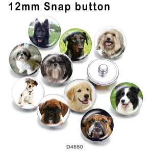 10pcs/lot  Dog  glass picture printing products of various sizes  Fridge magnet cabochon