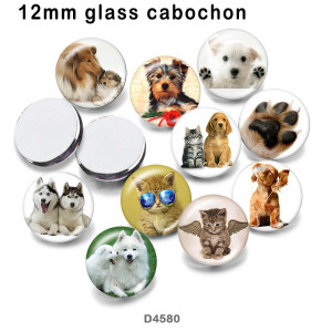 10pcs/lot  Cat  Dog  glass picture printing products of various sizes  Fridge magnet cabochon