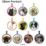 10pcs/lot  Dog  glass picture printing products of various sizes  Fridge magnet cabochon
