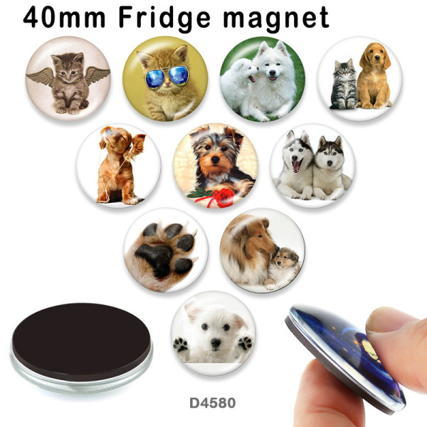 10pcs/lot  Cat  Dog  glass picture printing products of various sizes  Fridge magnet cabochon