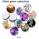 10pcs/lot   Dreamcatcher    glass picture printing products of various sizes  Fridge magnet cabochon