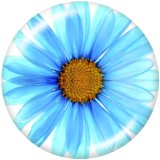 20MM Flower  Peacock  Print   glass  snaps buttons