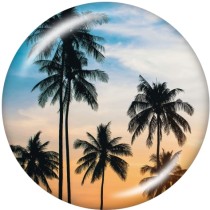 20MM sea turtle  pineapple  Print   glass  snaps buttons Beach Ocean