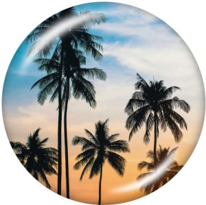 20MM sea turtle  pineapple  Print   glass  snaps buttons Beach Ocean
