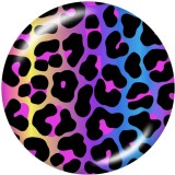 20MM Flower  Peacock  Print   glass  snaps buttons