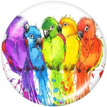 20MM  frog  bird  Horse  Print   glass  snaps buttons