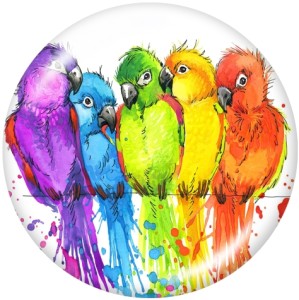 20MM  frog  bird  Horse  Print   glass  snaps buttons
