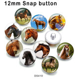 10pcs/lot  Horse  glass picture printing products of various sizes  Fridge magnet cabochon