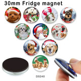 10pcs/lot  Christmas  Cat Dog  glass picture printing products of various sizes  Fridge magnet cabochon