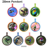 10pcs/lot  Hummingbird  glass picture printing products of various sizes  Fridge magnet cabochon