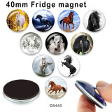 10pcs/lot  Horse  glass picture printing products of various sizes  Fridge magnet cabochon
