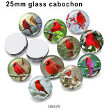 10pcs/lot  bird  glass picture printing products of various sizes  Fridge magnet cabochon