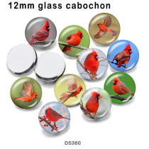 10pcs/lot  bird  glass picture printing products of various sizes  Fridge magnet cabochon
