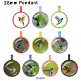 10pcs/lot  Hummingbird  glass picture printing products of various sizes  Fridge magnet cabochon