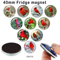 10pcs/lot  bird  glass picture printing products of various sizes  Fridge magnet cabochon