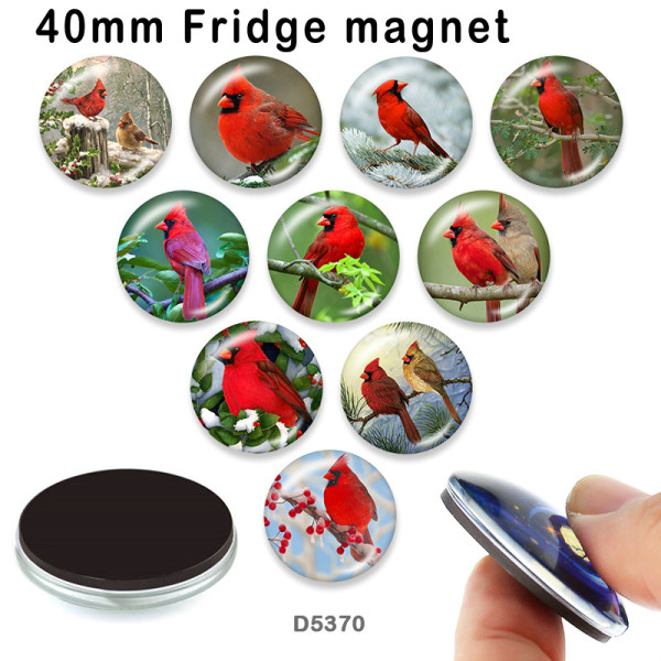 10pcs/lot  bird  glass picture printing products of various sizes  Fridge magnet cabochon